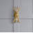 Electrum Sconce