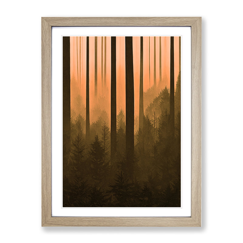 Autumnal Pine Tree Forest - Single Picture Frame Print, 64cm H x 46cm W x 2cm D, Oak Framed