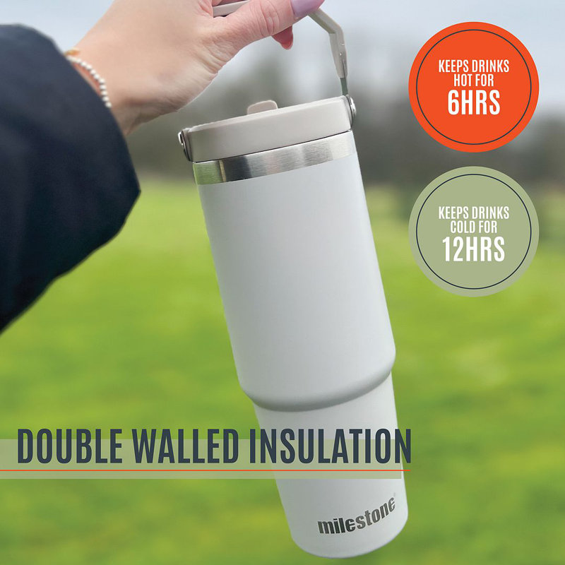 Milestone 890ml Double Wall Insulated Stainless Steel Flip & Sip Bottle, Grey