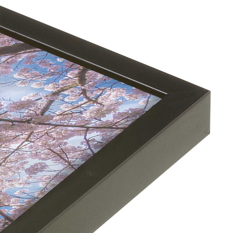 «Spring Serenade» par Martin Podt, reproduction d'art, L 24 po x H 36 po, Noir, Impression encadrée