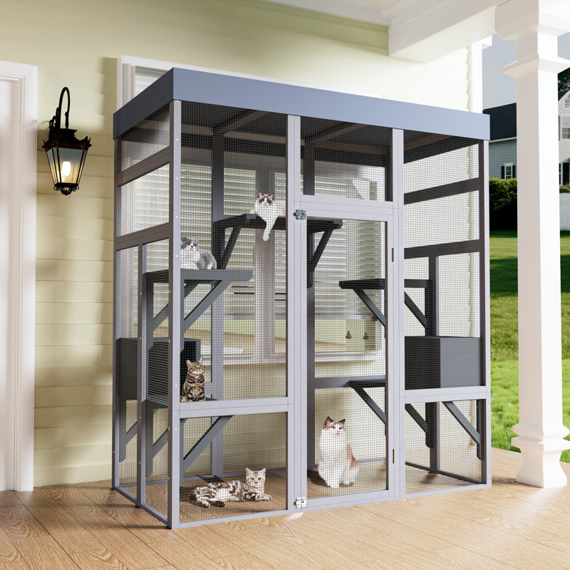 Enceinte pour chat 62,6 po en bois gris pour espaces extérieurs, toit imperméable, 2 zones de sieste, plateformes, grillage - rouille, grande cage stable avec, zones, utilisation optimale du patio