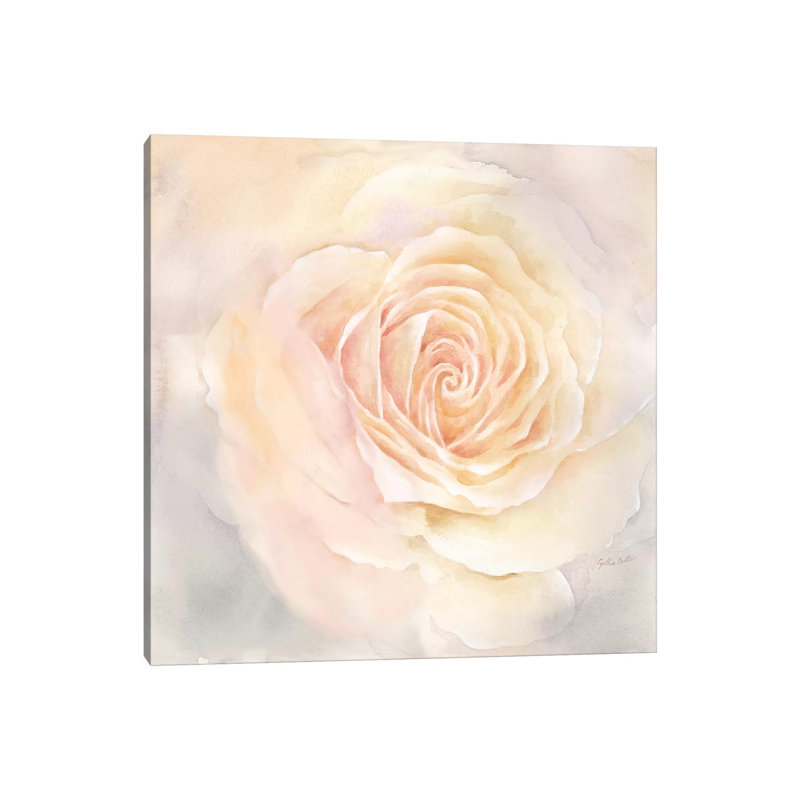 Blush Rose Closeup III 1 Piece Wrapped Canvas Painting, 45.72 cm H x 45.72 cm W x 3.175 cm D