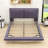 Queen Size Upholstered Platform Bed with Motion Sensor Lighting and Built-In Charging Station-1681848690