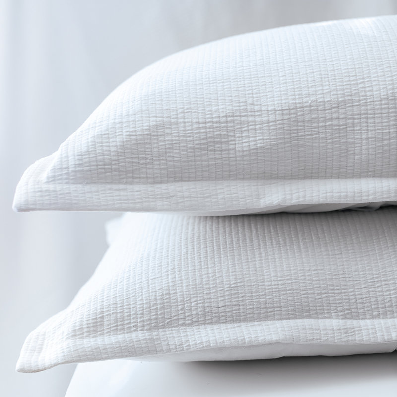 Delfina Delfina White Cotton Sham, Standard