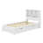 Blanc est en rupture de stock