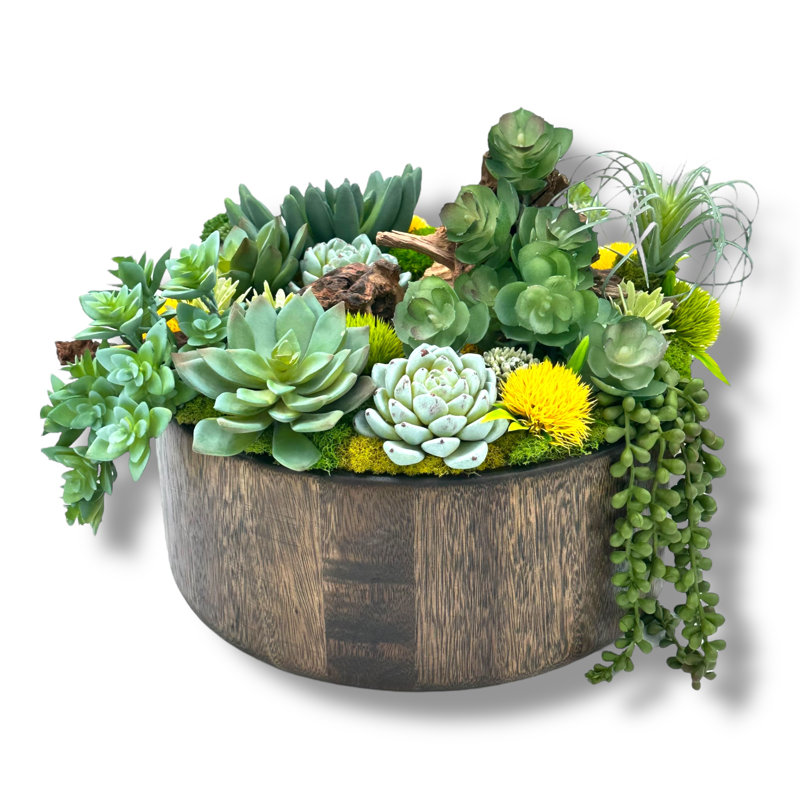 Conception succulente dans un vase circulaire en bois brun foncé