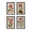Jardin Boheme Botanical Prints