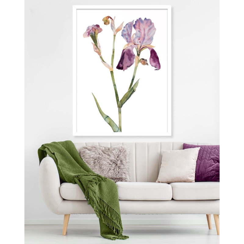 Iris No. 197 Print by Elizabeth Becker