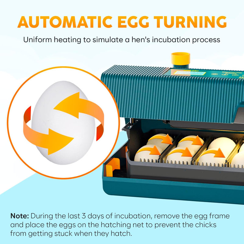 Incubators for Hatching Eggs - Ideal All Ages | Egg Incubator with Automatic Egg Turning and Humidity Control - Integrated Egg Candler - 10 Eggs - Okkobi M10