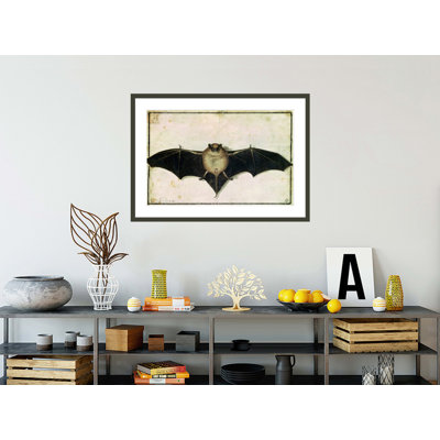 Chauve-souris par Albrecht Dürer - Impression sur toile