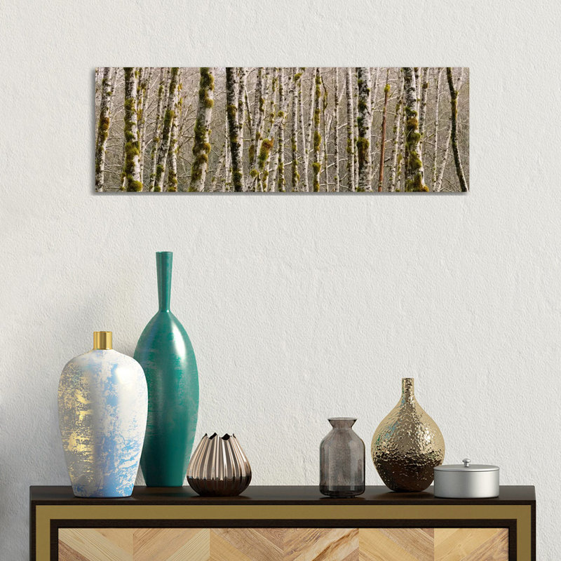 Trees In The Forest, Red Alder Tree, Olympic National Park, Washington State, USA - Wrapped Canvas Panoramic Print