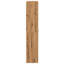 Rovner 24 Pair Shoe Storage Cabinet-1322597369
