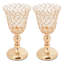 2 vases à fleurs-2046577082