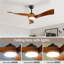 Ceiling Fan with LED Lights