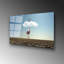 Boze Wall Decor