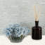 Carrelage mural mosaïque 12 po x 12 po Crystal Strata