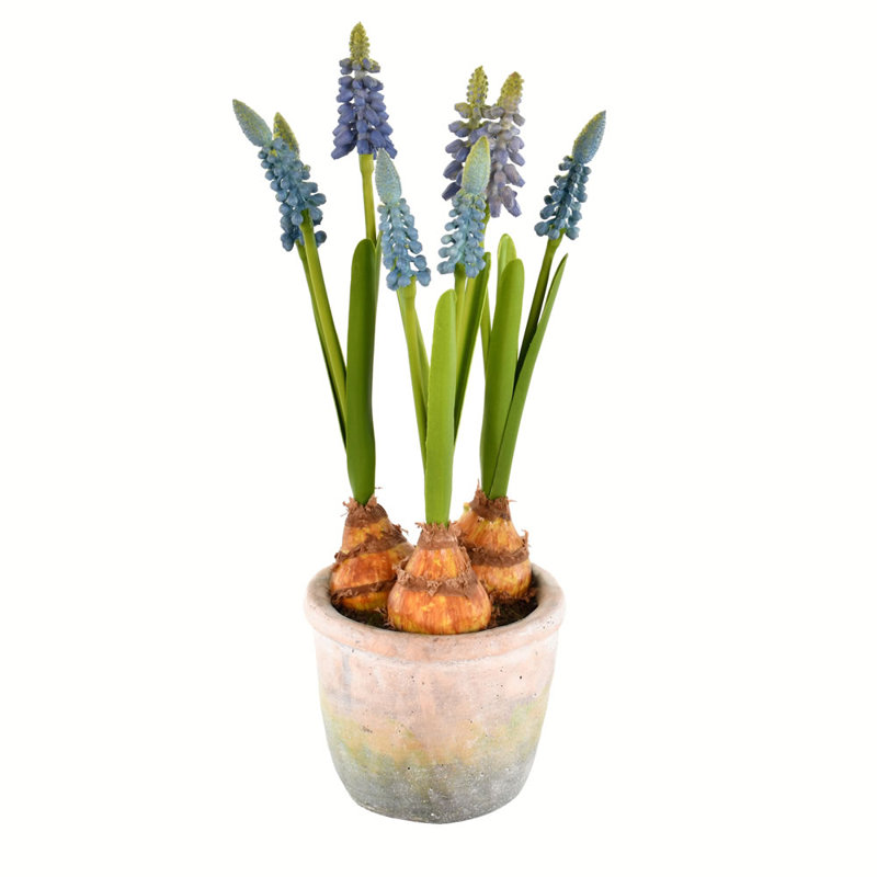 Jacinthes artificielles 10 po dans un contenant, bleu