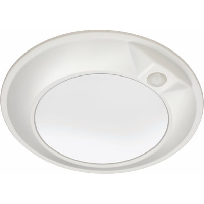 LED Flush Mount