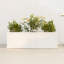 Barros Solid Cedar Rectangular Planter Box with Drainage Holes-691030335-685945626