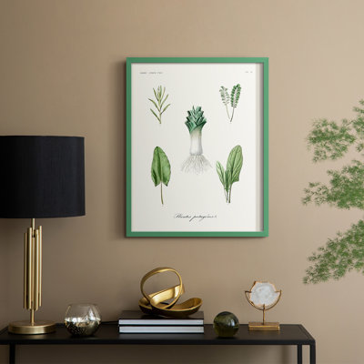 Fruit & Vegetable Varieties I Framed Print - Solid Wood