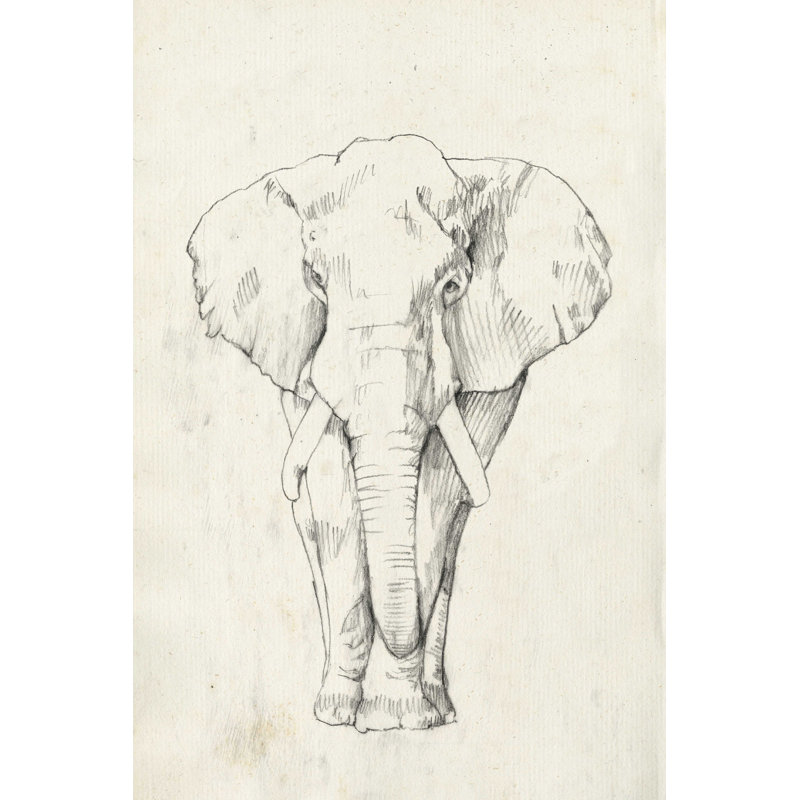Portrait d'éléphant I, H 18 po x l 12 po