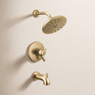 Trinsic Thermostatic Shower Head