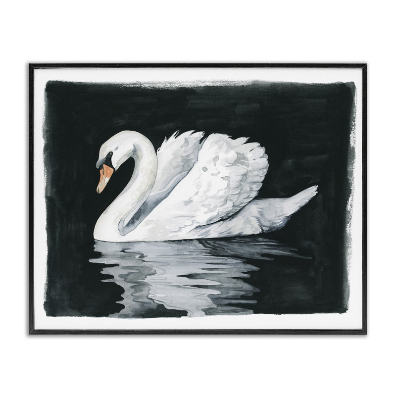 Magnifique cygne, reflet noir, art de la giclée par Grace Popp, Giclée encadrée noir minuit, H 11 po x l 14 po x P 1,5 po