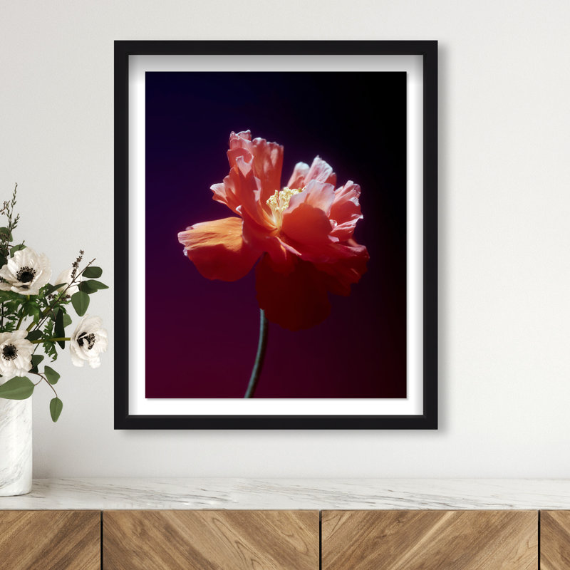 Taffeta Twilight II Framed Graphic Art, 21.5"H x 17.5"W, Black Shadowbox