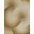 Beige/Ivory selected