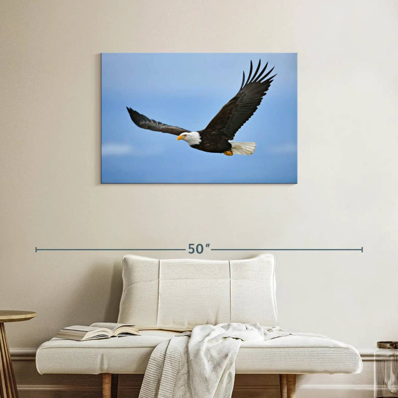Brampt Gliding Bald Eagle, 24" H x 36" W