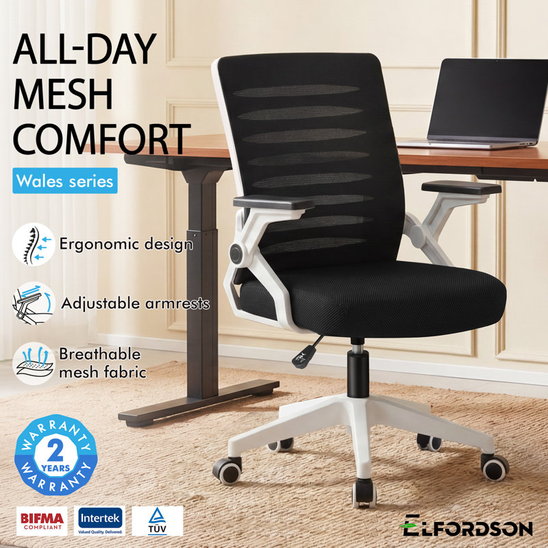Rebrilliant Mesh and Foam Padding Office Chair, Black, White
