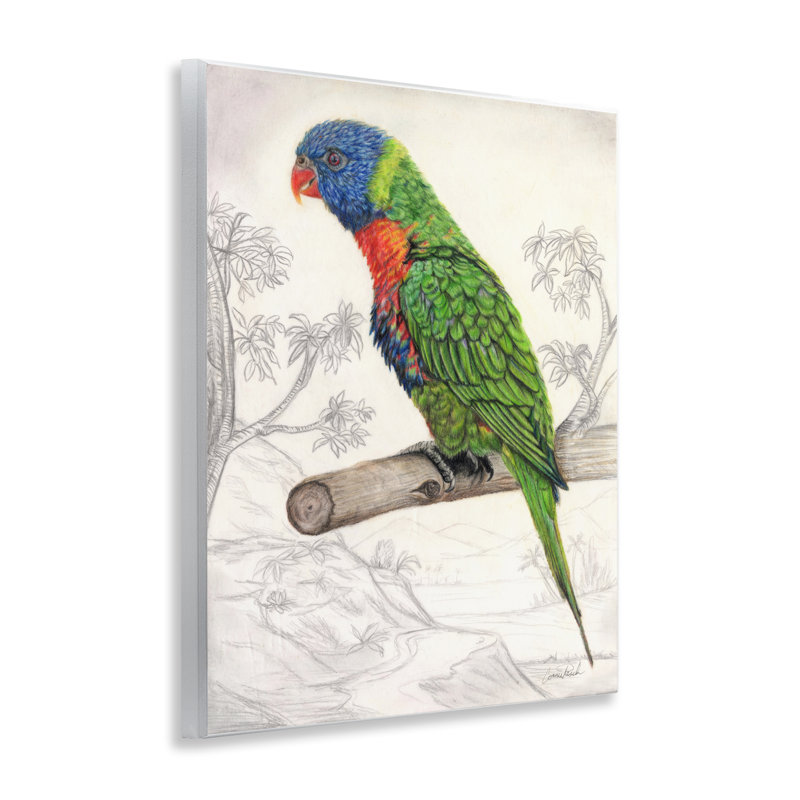 "Lorikeet", "Nature", art mural par Connie Resch