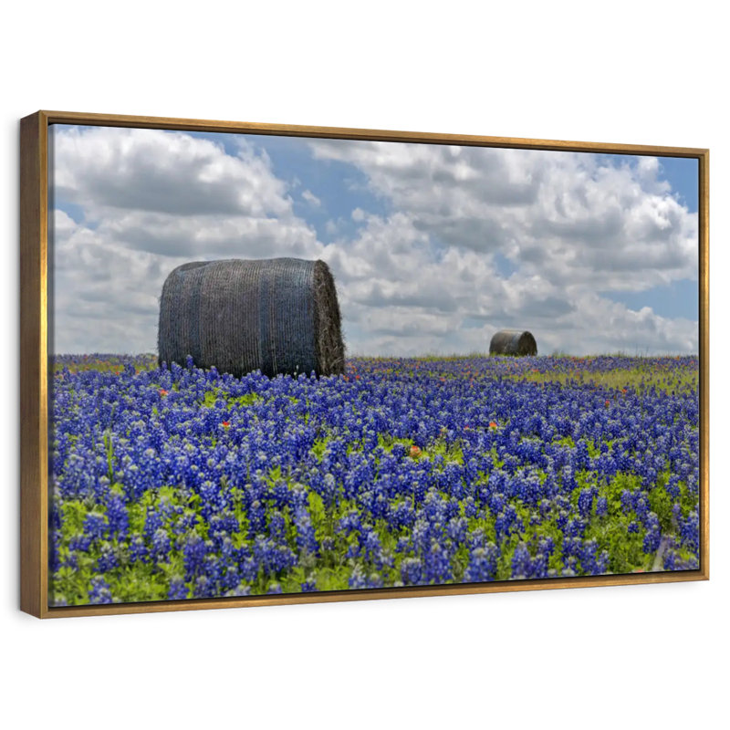 Texas Bluebonnets, 25 po x 17 po, Cadre flottant doré