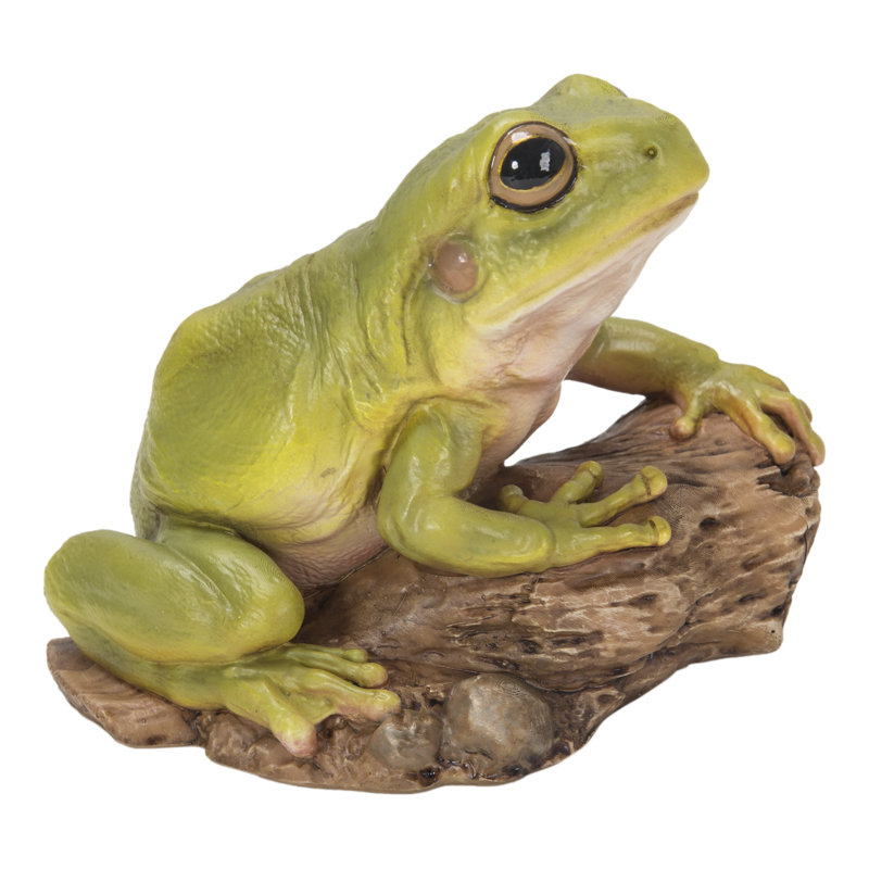 Tree Frog