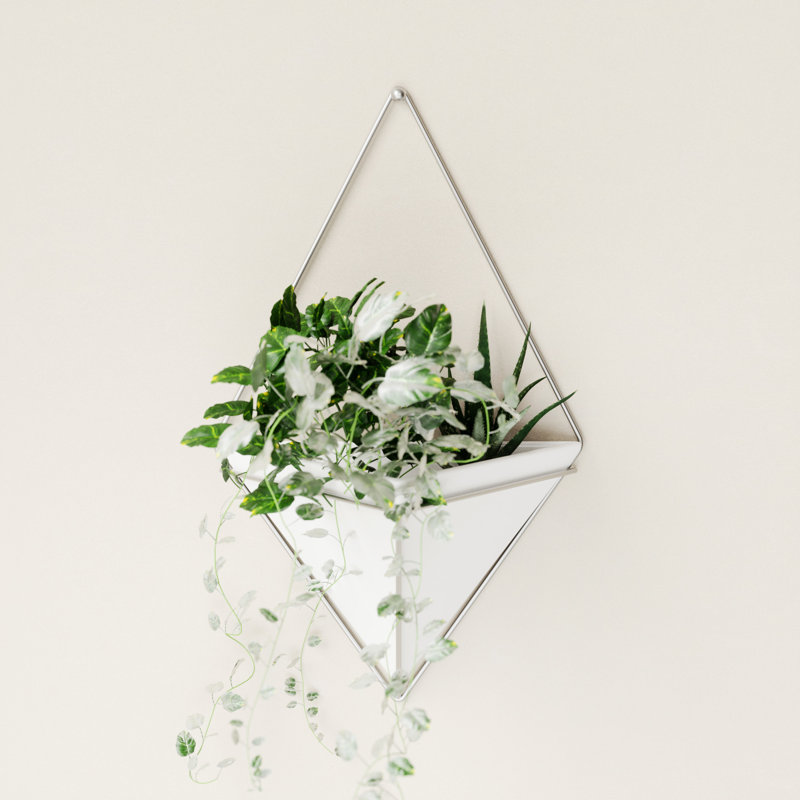 Trigg Planter Wall Decor, White/Nickel