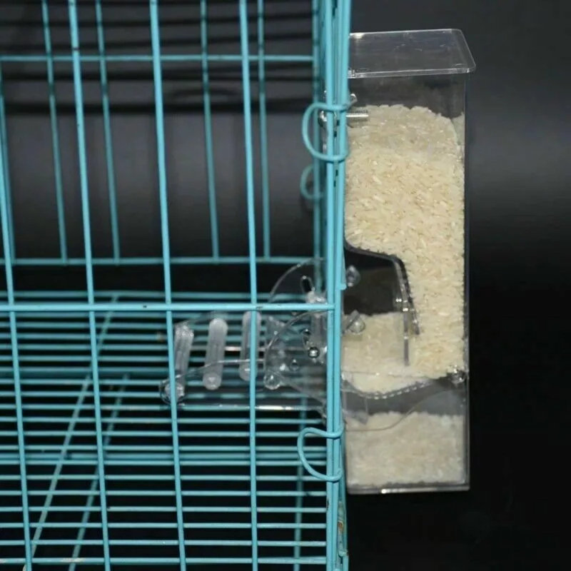 Oiseau de nourriture pour oiseaux