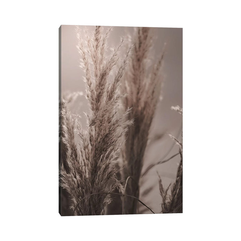 Pampas Reed VI 1 Piece Wrapped Canvas Painting, 66.04 cm H x 45.72 cm W x 1.91 cm D