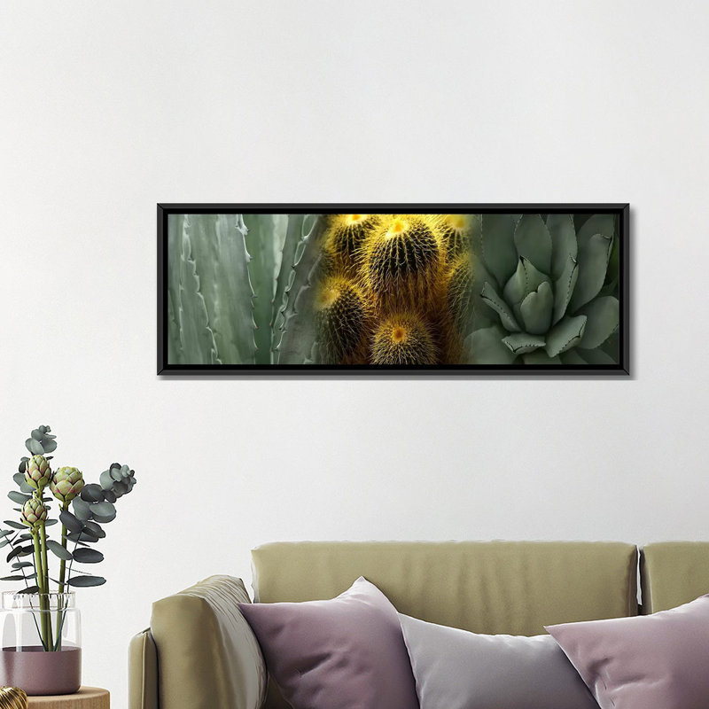 Cactus - reproduction de photo sur toile tendue, H 16 po x l 48 po x 1,5 po, Toile avec cadre noir