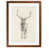 Maple Framed Print