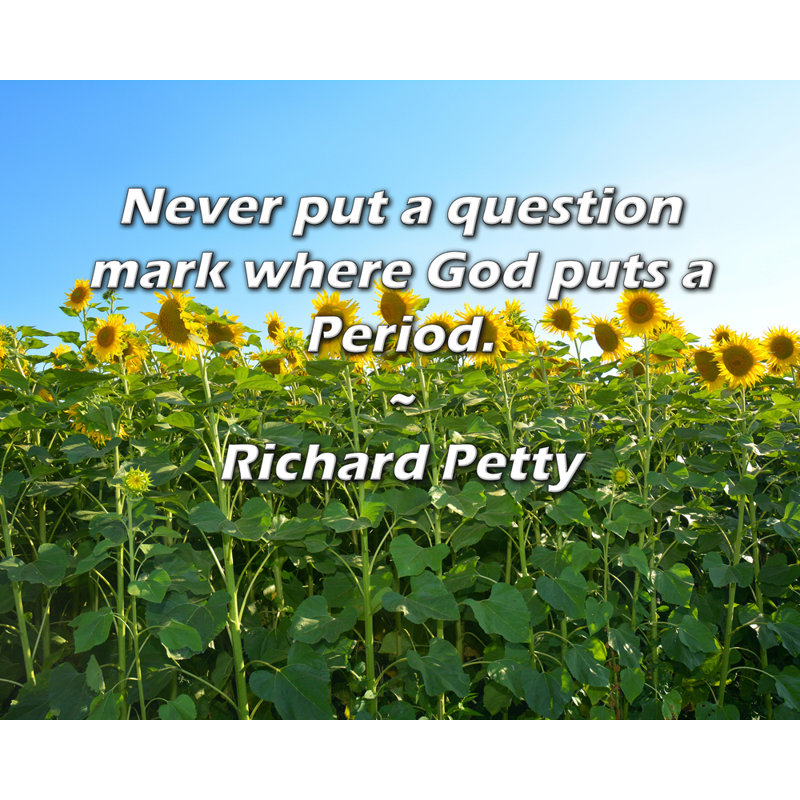 Trinx Gallery Wrapped Canvas By Richard Petty: "Never put a question mark where God puts a Pe