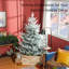 6 Foot Artificial Christmas Tree, Pine Hinged Xmas Tree With 795 Realistic Branches, Steel Base, Auto Open, Green-1394103616