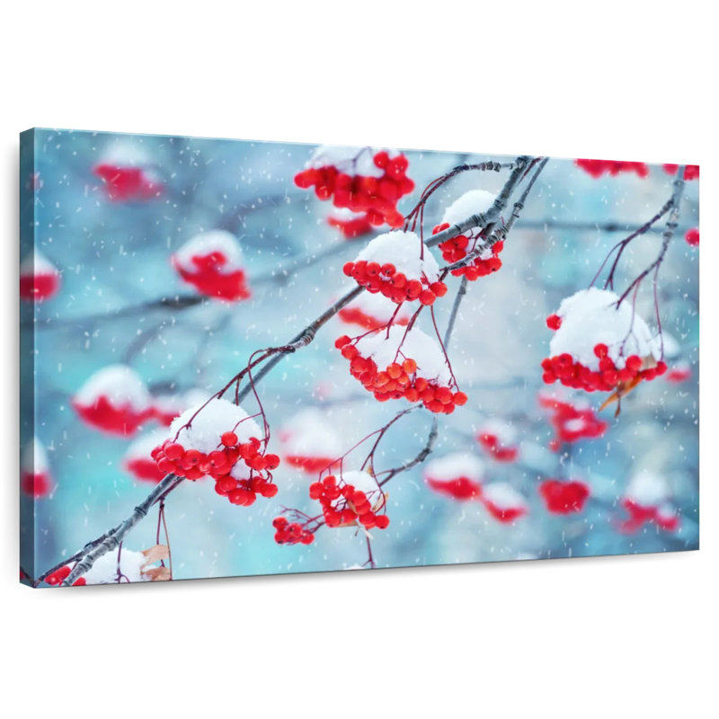 Alvord Red Rowan Tree