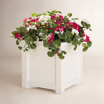 Geranium Floral Arrangement