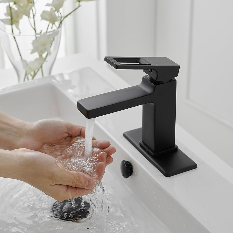 Matte Black Single-Handle Bathroom Faucet with Drain Assembly