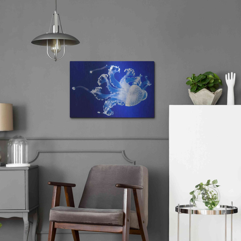 «Translucent Jellyfish» par Epic Portfolio, art mural en métal, 24 po x 16 po, H 16 po x l 24 po