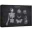 Anatomie, radiographie, squelette, crâne, diagramme, santé, art moderne, schéma thérapeutique, décoration murale-98161062