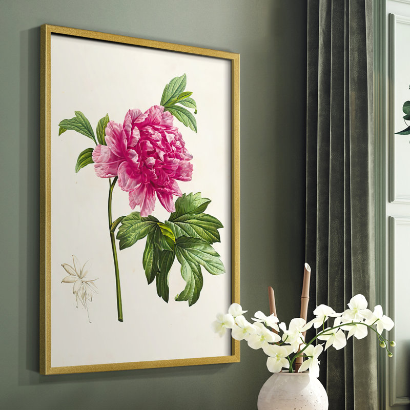 «Pretty Pink Botanicals I», reproduction encadrée - bois massif, Blanc, H 14 po x l 11 po