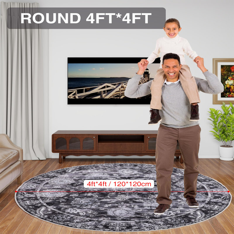 Round Michie 120cm X 120cm Area Rug