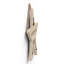 Yes the Wicked Witch Wooden Star Plaque