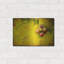 «Leaf And Cluster 1» par Jessica Rogers-1102268273